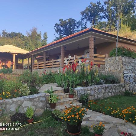 Vila Vera Borsko Jezero エクステリア 写真