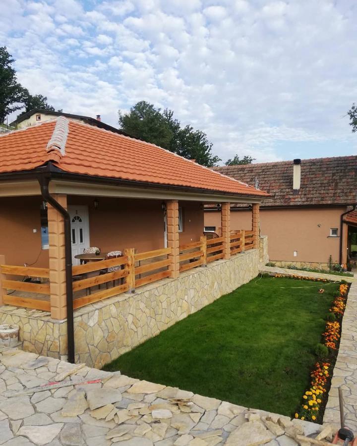 Vila Vera Borsko Jezero エクステリア 写真