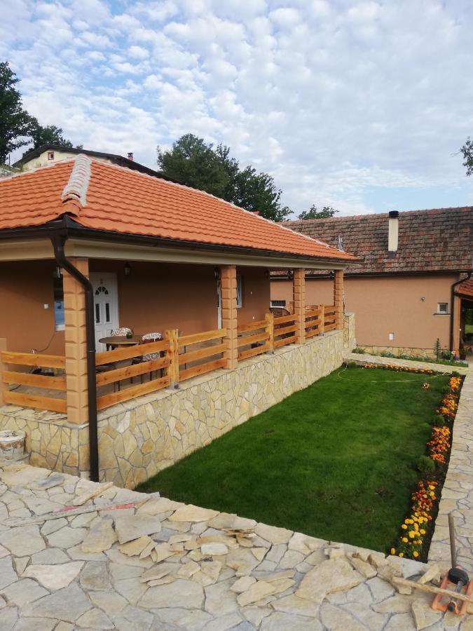 Vila Vera Borsko Jezero エクステリア 写真
