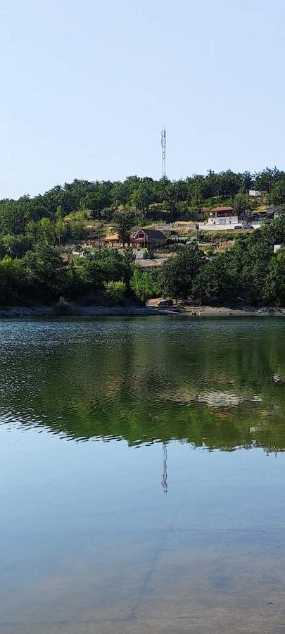 Vila Vera Borsko Jezero エクステリア 写真