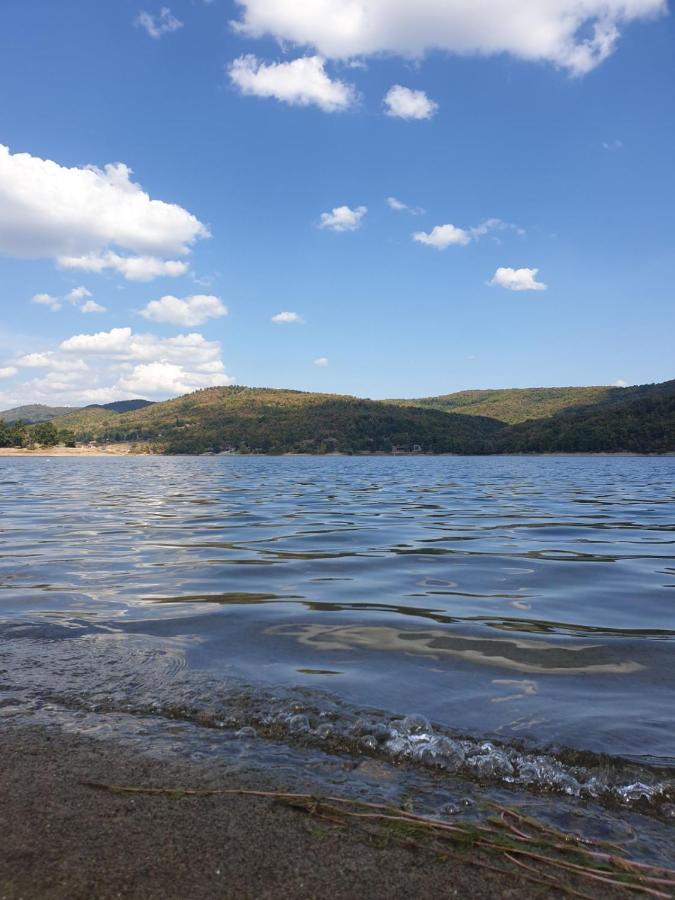 Vila Vera Borsko Jezero エクステリア 写真