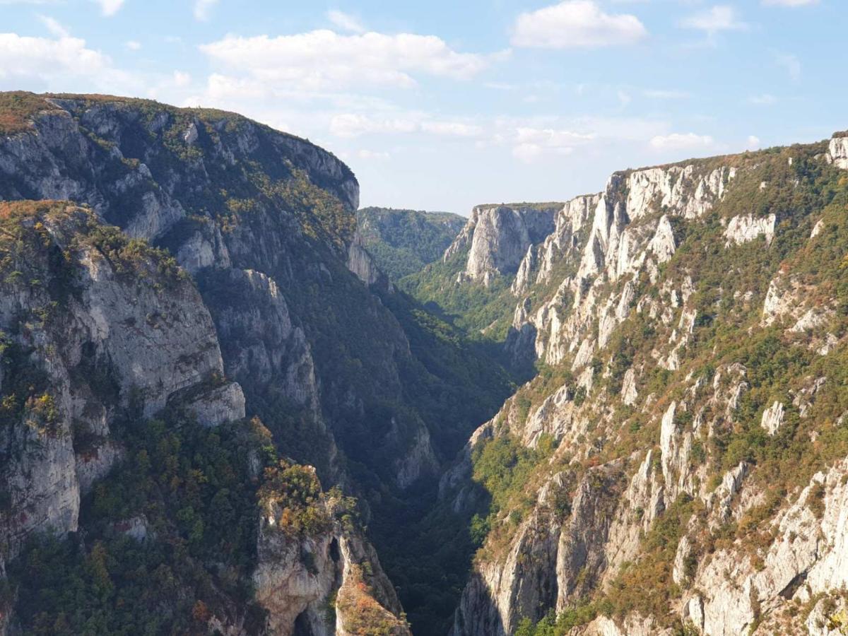Vila Vera Borsko Jezero エクステリア 写真