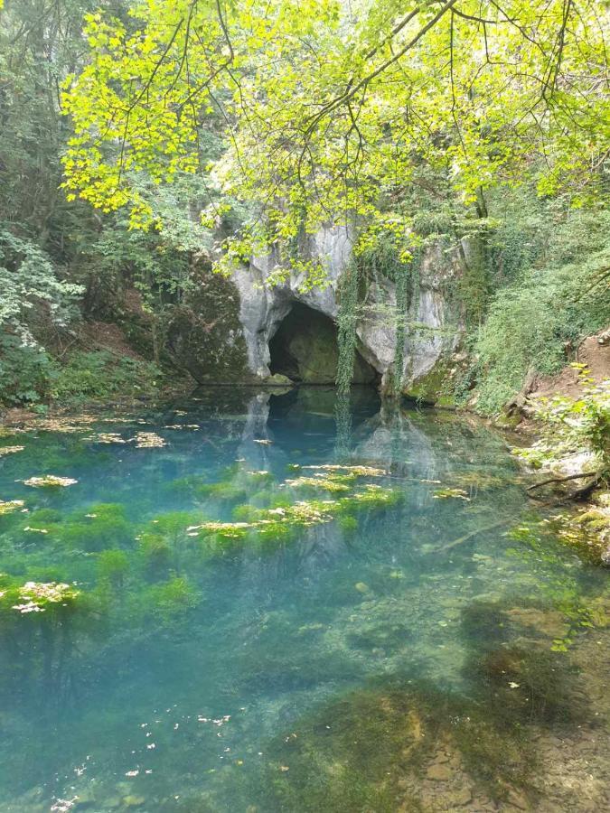 Vila Vera Borsko Jezero エクステリア 写真